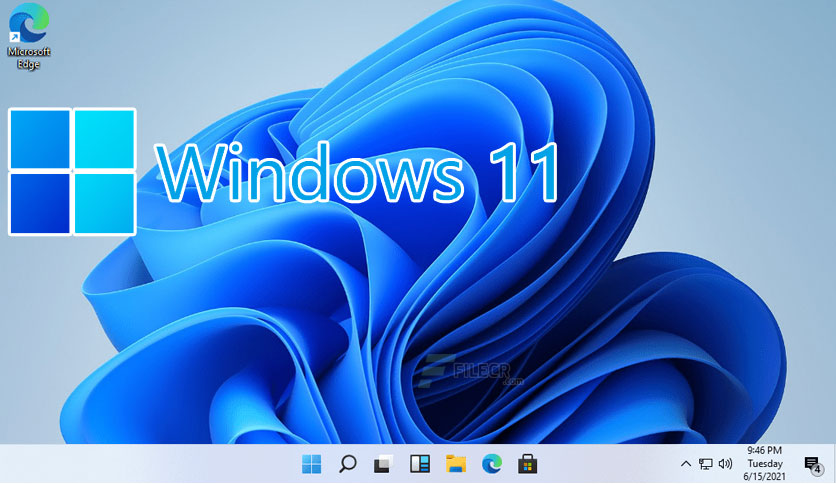 Windows 11
