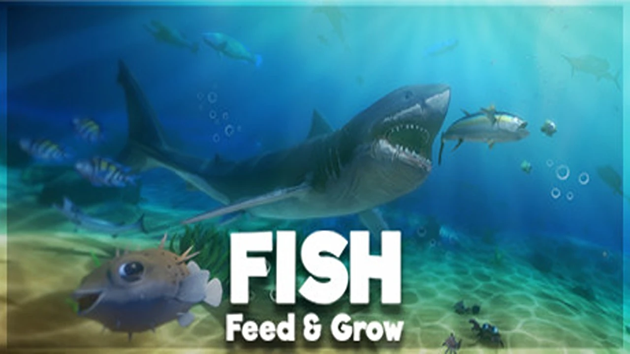 Feed